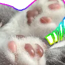 BEANS