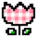 pink_tulip
