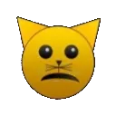 sadcat
