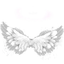 004w_wings