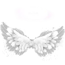 :004w_wings: