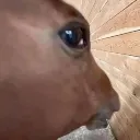 side_eye