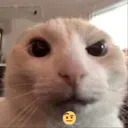 ceba8472165d42a3f6d1b5e1a235b08e