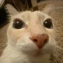 01024b149d9e86a0fe7b215e7854db61