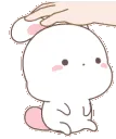 white_bunnie_pat