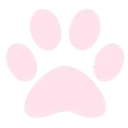 paw