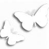white_butterflysticker