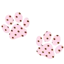 b_paws