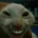 happycat