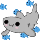 2025july_sharkday