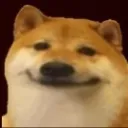 aurbhaidogu
