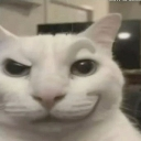 :emoji_22: