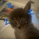 eepy