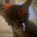 angrycrying