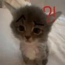 excuseyou