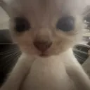 ok