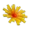 BurningBud