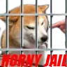 HornyJail