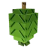 Feijoa