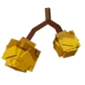 Loquat