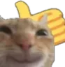 PawPawDone
