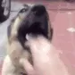 sla