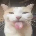 bleh