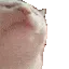 catJAM1