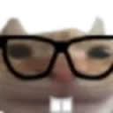 catnerd