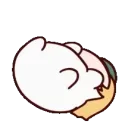Maxwell_Roll