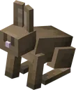 rabbit