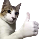 Thumbsup Discord emoji
