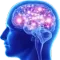 bigbrain