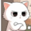 professional_cat