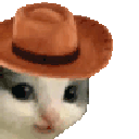 cattipshat Discord emoji