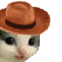 cattipshat cattipshat