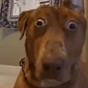 uhoh