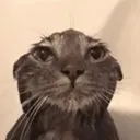 helpme