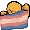 k9_t_PRIDETRANS