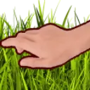 touchgrass