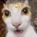 :impactado: