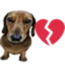 dog_dawg