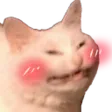 happycat