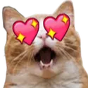 cat_heart_eyes