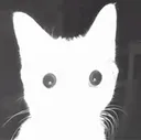 flashcat