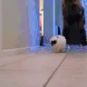 run