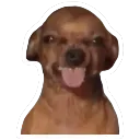 emoji_37