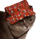 f3263c9a74fd4d66bdc79a1602938f2d