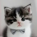 Franklin
