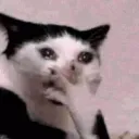 stolen_emoji_blaze